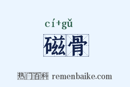 磁骨是什么意思的图片